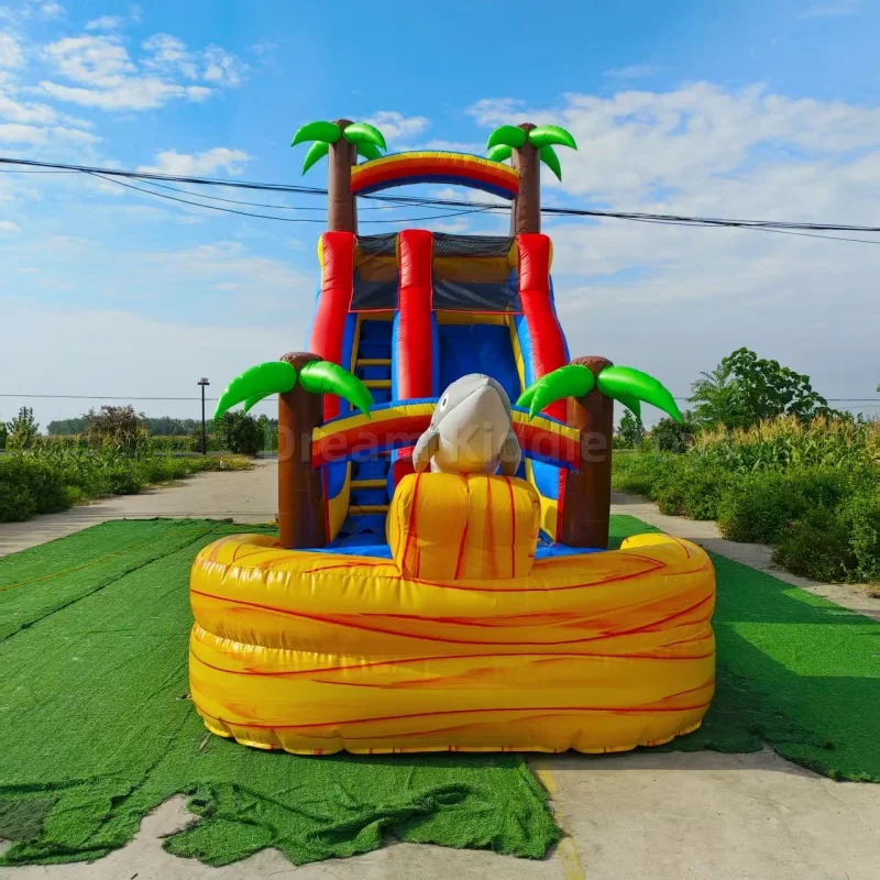 Toboggan aquatique gonflable g - Water Slide Inflatable avis et prix